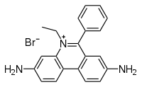 Estructura química del bromuro de etidio