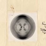 Imagen de la doble hélice de ADN tomada mediante difracción de rayos X de 1952