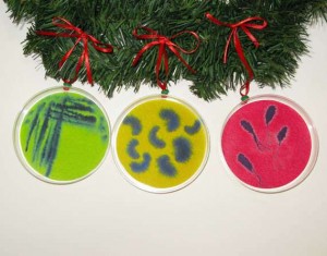 Varias placas de petri con cultivos de microorganismos coloristas a modo de adorno navideño.
