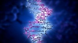 Estructura 3D del ADN