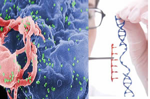SIDA, células madre e ingeniería genética